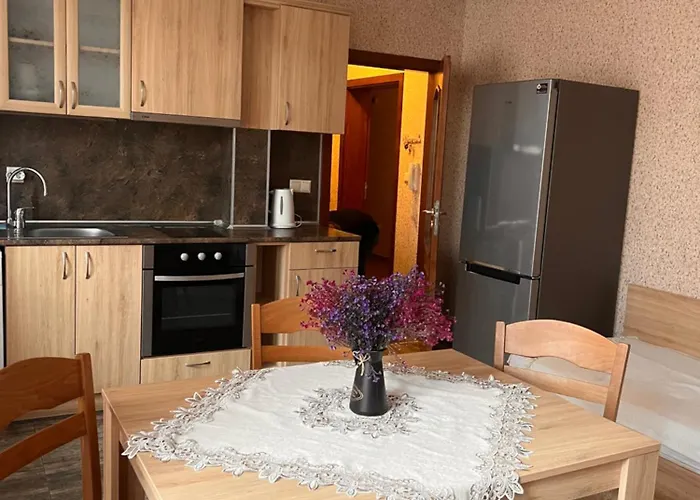 Apartament Marinela 2